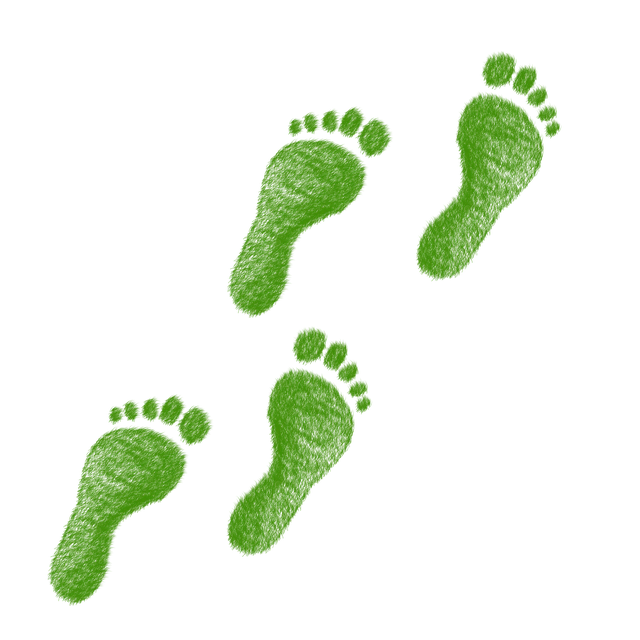 green-g41ac95eae_640